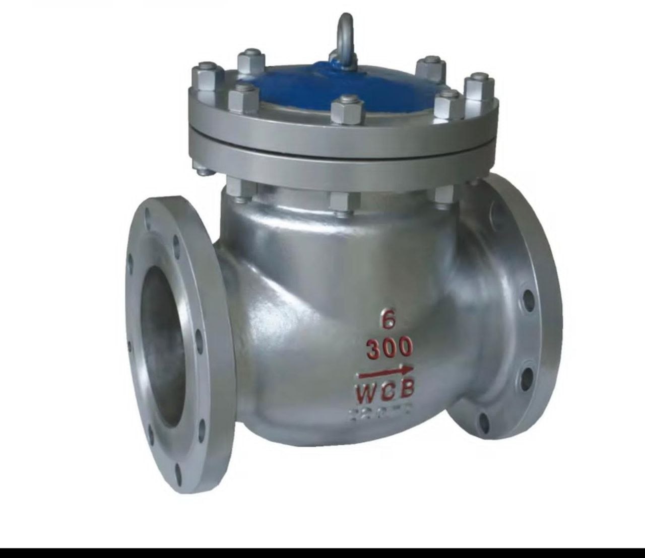 Check Valve